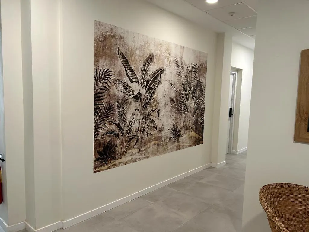 Estudio Trinidad Centro Malaga 2